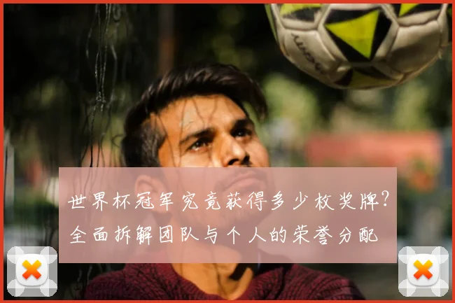 世界杯冠军究竟获得多少枚奖牌?全面拆解团队与个人的荣誉分配