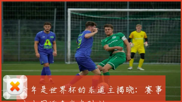 今年是世界杯的东道主揭晓：赛事主办国迎来高光时刻