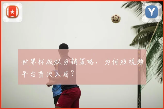 世界杯版权分销策略,为何短视频平台首次入局?