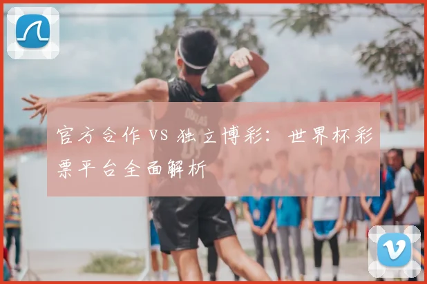 官方合作 vs 独立博彩：世界杯彩票平台全面解析